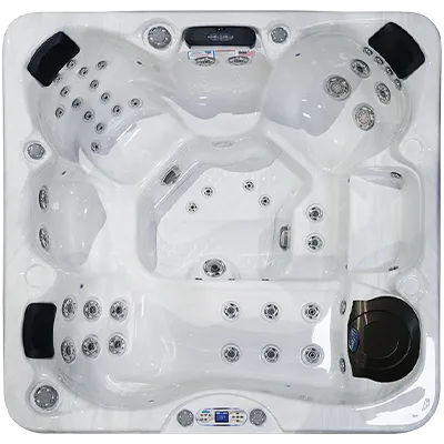 Avalon EC-849L hot tubs for sale in Greensboro