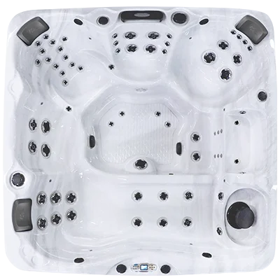 Avalon EC-867L hot tubs for sale in Greensboro